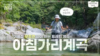 [4K] 여름에 무조건 가야하는 트레킹 코스! 아침가리계곡에서 올 마지막 여름을 보내고 왔어요! | 아침가리계곡 | 강원도 인제 | 계곡 트레킹 썸네일