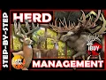 Step-by-Step How to Spawn GREAT ONES Using HERD MANAGEMENT - Call of the Wild