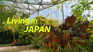 Download Everyday life in Japan | Japanese home cooking, Shinjuku Gyoen, Grocery store | Living in TOKYO MP3