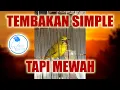Download Lagu MASTERAN PLECI MEWAH MUDAH MASUK!!!