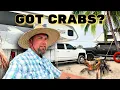 Download Lagu The First Time I Got Crabs While Camping On The Beach