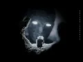 NTO & Monolink - Beyond Control