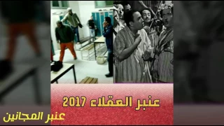 عنبر العقلاء            دندنها