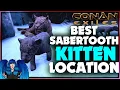 SABERTOOTH CUBS BEST LOCATIONS FOR BABY SABERTOOTHS UPDATED Conan Exiles