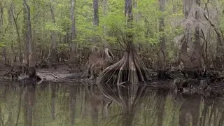  jesus is alive written by lynn jordan conway sc 