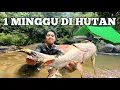 Download Lagu Camping Hujan Deras 1 Minggu di Hutan Sungai Kanyau Cuaca Buruk Fishing Camp Masak dan Makan Ikan