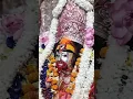 Download Lagu Joy maa kali.joy Tara Maa . #song #shyama_sangeet_kumar_sanu
