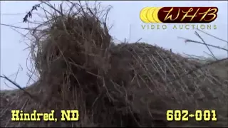 2015 Brome Grass Mix for Sale 5x6 Rounds - Kindred North Dakota