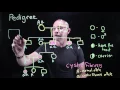 Pedigrees