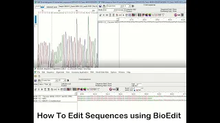 How to Clean DNA Sequences using BioEdit Tutorial 2 Analytical Tutorials