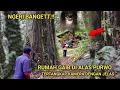 Download Lagu Ngeri.!! rumah gaib di alas purwo tertangkap kamera dengan jelas, video ini buktinya