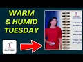 Tuesday Noyes Notes Warm Humid Air Fuels Hit-or-Miss Showers Storms