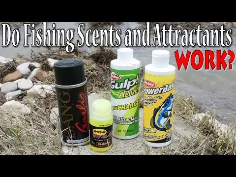 Do Fishing Scents and Attractants really help catch More Fish?