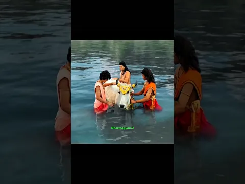 गुरु शुक्राचार्य ने गौ माता को अपवित्र माना 🙏🔱 जय गौ माता 🙏🕉️🚩 #mahadev #ganpatibappamorya #shorts