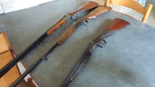 The Ideal Shotgun N 308 