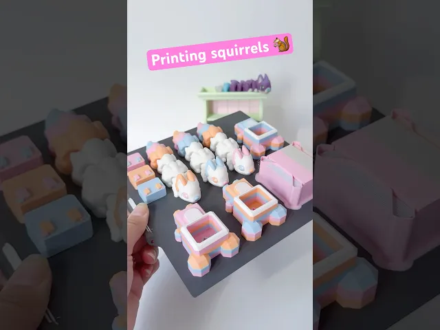 Squirrel Flexi video thumbnail