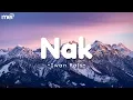 Download Lagu Nak - Iwan Fals ( Lirik )