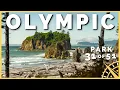 10 MUST VISIT Places in Olympic National Park 51 Parks with the Newstates