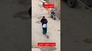 الكلبة لوزة بترقص ع الطبل البلدي    عامل اذاعه لوحدي دندنها