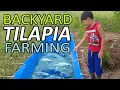 Download Lagu BACKYARD TILAPIA FARMING