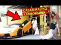 Lagu CEWE MATRE ?? GEMBEL SULTAN DIBILANG MALING LAMBORGHINI ??wkwk....