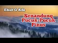 Download Lagu Senandung Pucuk-Pucuk Pinus - Ebiet G Ade - Lagu Klasik Legendaris Indonesia