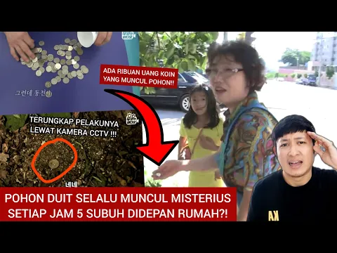 TERROR POHON DUIT MISTERIUS SETIAP JAM 5 SUBUH BIKIN HEBOH WARGA KOREA!! AKHIRNYA TERUNGKAP!!!