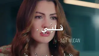 قلبي اللي انت بتقسى عليه 