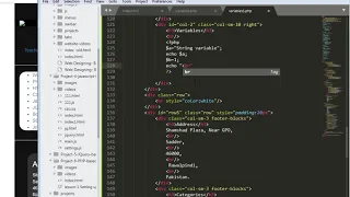 PHP-Lesson 4 PHP Variables