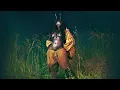 Download Lagu SZA - No More Hiding [Official Audio]