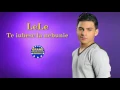 Download Lagu LeLe - Te iubesc la nebunie (Official Track)
