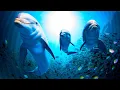 Download Lagu Underwater Relaxation Music. Relax with Dolphins and Whales Songs