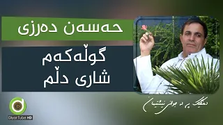 Hasan Darzi Gulakam Shari Dllm HD حەسەن دەرزی گوڵەکەم 