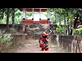 Udurajamukhi/ Dance cover by  hima vijayan/New year special video