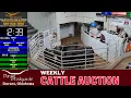 First Cattle Sale of 2026 LIVE Durant Stockyards 1 400 Head - Jan 8
