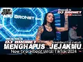 Download Lagu BREAKBEAT TERBARU || MENGHAPUS JEJAKMU || BREAKBEAT VIRAL TIKTOK 2025 || Dj BroNet Rmx