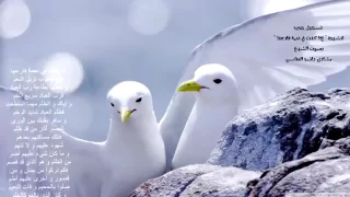 جديد مشارى راشد العفاسى إذا كنت في نعمة فارعها HD  جديد مشارى راشد العفاسى إذا كنت في نعمة فارعها HD