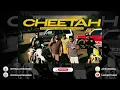 CHEETAH | Chani Nattan | Inderpal Moga | Byg Byrd | Concert Hall | DSP Edition Punjabi Songs