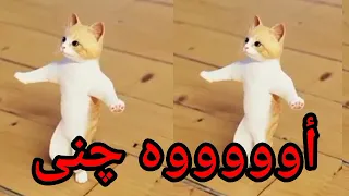 اغنية باسم جنى الحلوة عيد ميلاد جنى اول تعليق السعودية تركيا ابوظبي العراق الجزائر جده دبي الكويت 