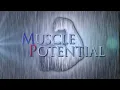 Justin Firgaira - 2014 IFBB O'Mara Classic - Posing Routine