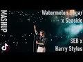 Download Lagu Watermelon Sugar x Seaside (Mashup, but it actually works) [TikTok]