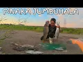 Download Lagu Huge Catch Of Fish😱 Rumagasa Sa Ilalim Ng Lagusang Tunnel Ang Dami Jackpot