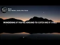 Alan Walker & Sasha Alex Sloan - Hero (Lyrics)