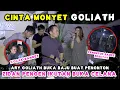 Download Lagu CINTA MONYET - GOLIATH (LIVE) | TRI SUAKA, NABILA MAHARANI, ZINIDAN ZIDAN, ARY GOLIATH