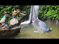 Download Lagu Meet many hidden fish in a deep puddle. Fishing skills of the girl. catch a lot of giant fish