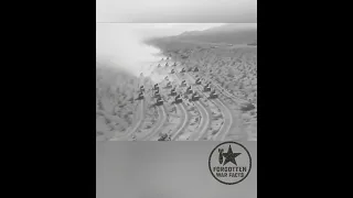 The Calm Before The Desert Storm 1943 