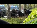 Police activity at Summit Mall in Fairlawn
