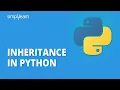 Inheritance in Python Types of Inheritance in Python Learn Python Programming Simplilearn