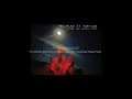 Trampled by Turtles - Alone