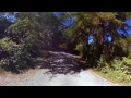 Hoh Oxbow Campground Forks Washington - 360 Virtual Tour 4K